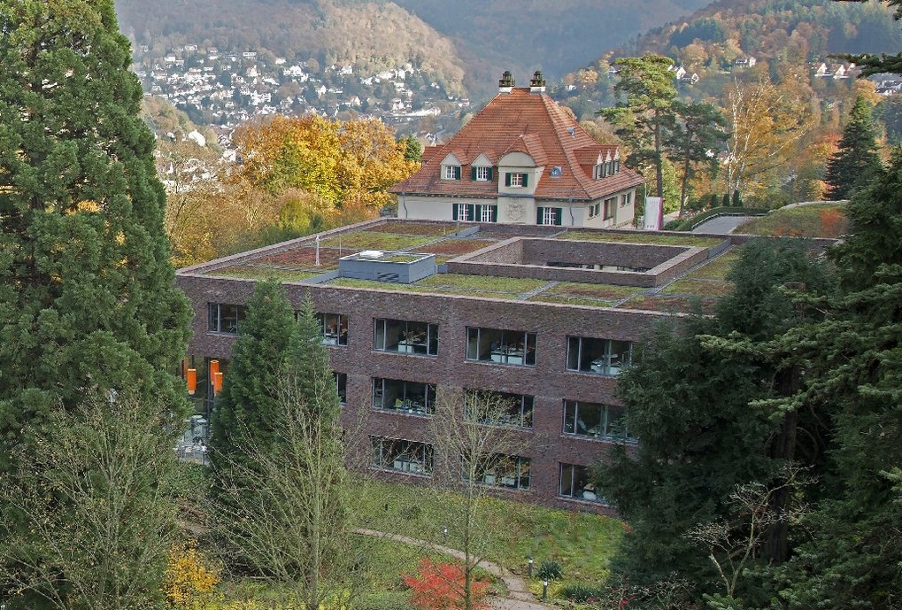 <span>The Heidelberg Institute for Theoretical Studies (HITS) t</span><span>akes part in IMPRS-HD with the groups working on </span>Theoretical Astrophysics<span> on the Physics of Stellar Objects, and on  High-Energy Astrophysics.<br> </span>